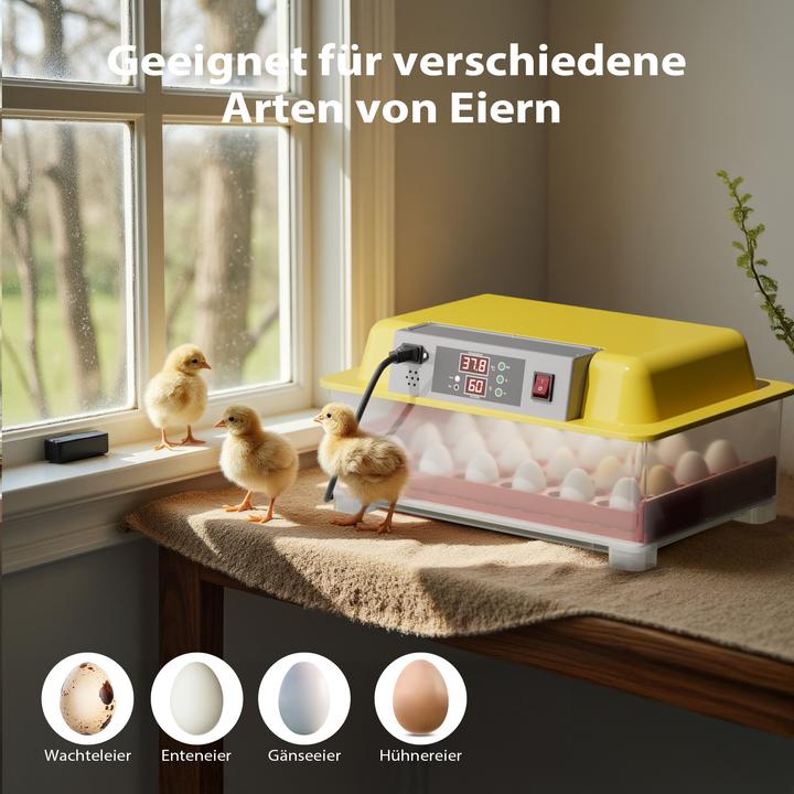 Actual product image Wiltec Brutmaschine