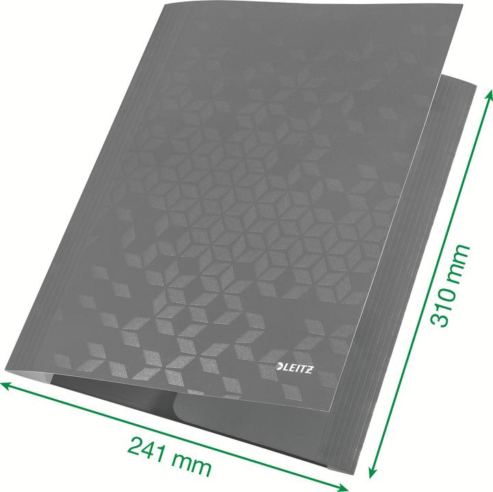 Actual product image Leitz WOW - Rubber band folder (A4, 1x)