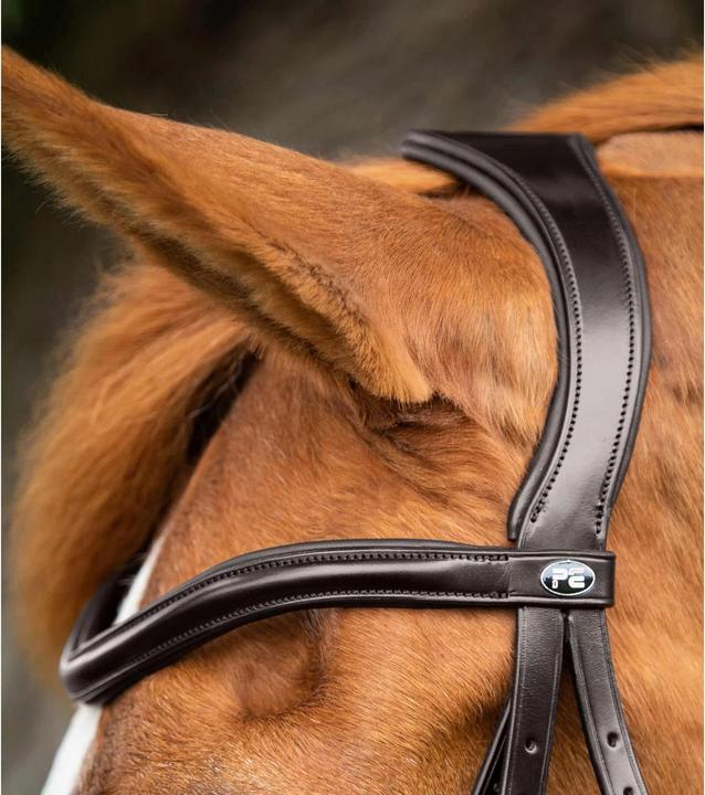 Actual product image Premier Equine snaffle bridle glorioso
