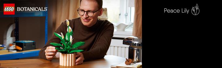 Image du produit LEGO Friedenslilie (11504, LEGO Botanical)