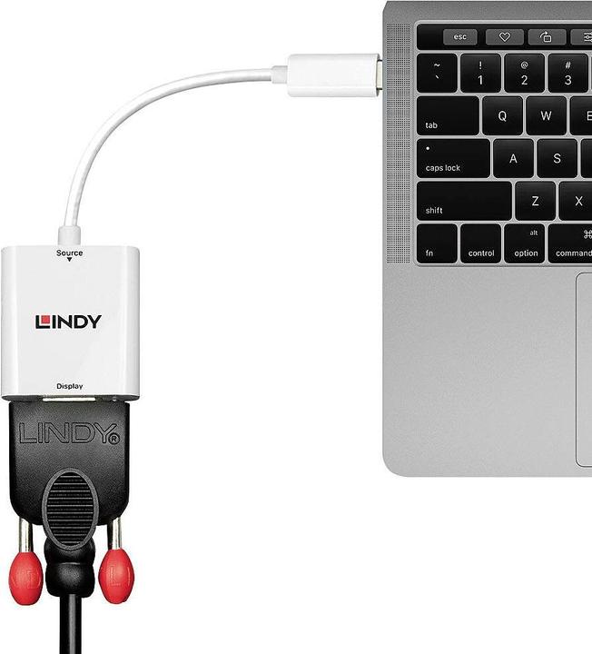 Image du produit Lindy Convertisseur Mini DisplayPort vers VGA (VGA, 16 cm)