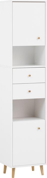 Schildmeyer Bjarne (40 x 33 x 180 cm)