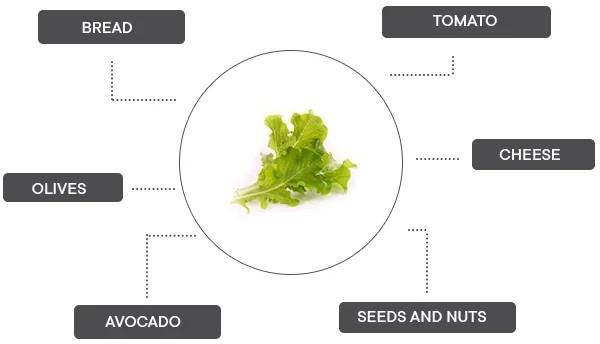 Produktbild Véritable Lingot Eichblattsalat BIO (Gemüsesamen)