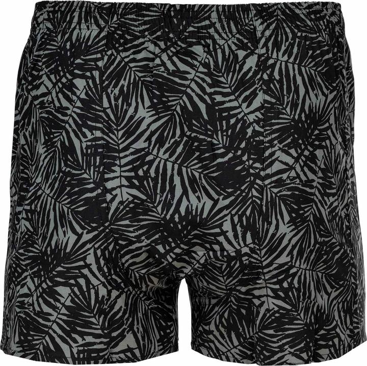 Immagine prodotto Happy shorts Web-Boxershorts Casual Bequem sitzend (M, Confezione singola)