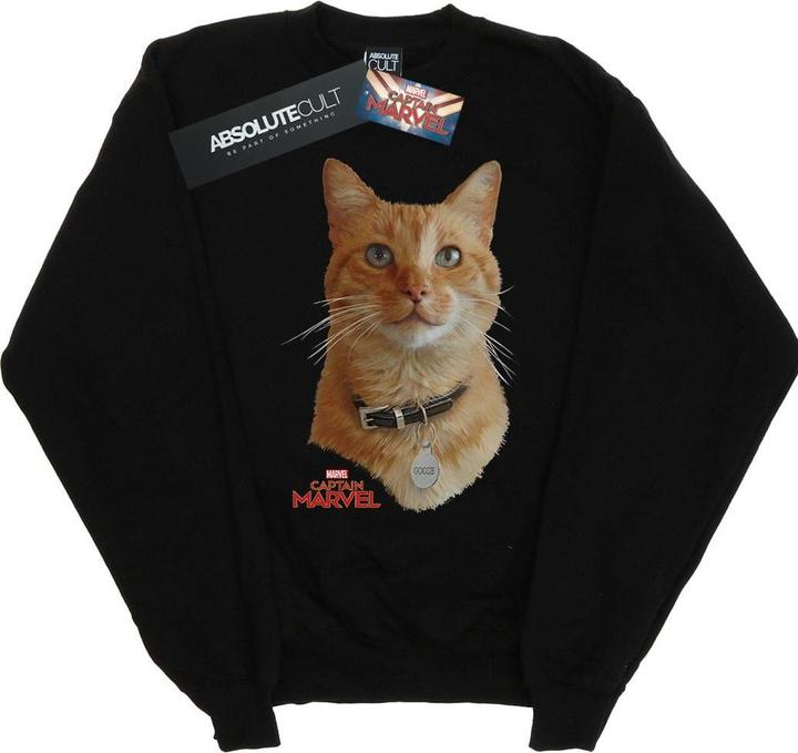 Image du produit - Sweat CAPTAIN GOOSE PHOTO - Homme (5XL)