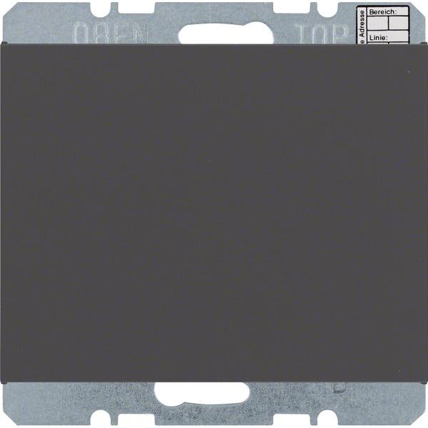 Berker 75441275 Objekt-Raumtemperatur-, Thermostat, Grau