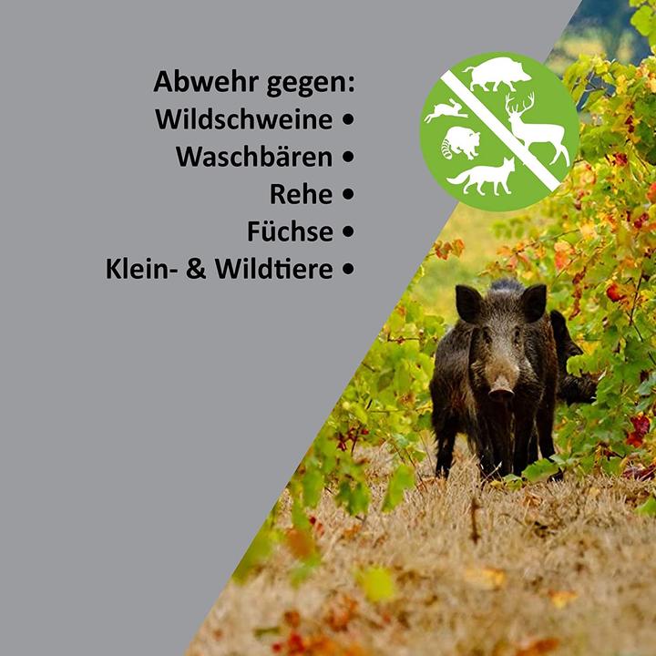 Actual product image Colibri Wildlife Diver