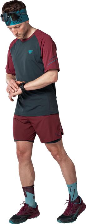 Immagine prodotto Dynafit Maglietta Alpine Pro M S/S (52, XL)