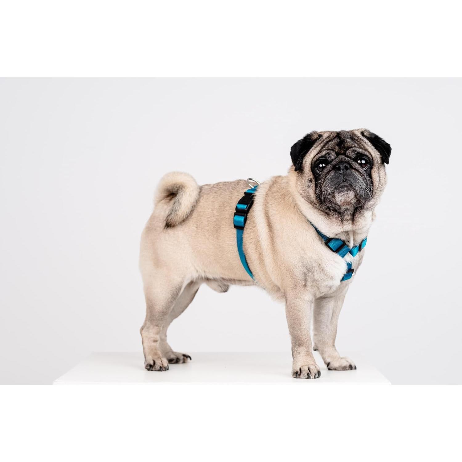 Thumbnail - Chaba CH-GURTSCHUTZ M (P)25-40 (T)35-55X2CM SEA 5072 (M, Hund, Allgemein, Spazieren), Halsband + Leine