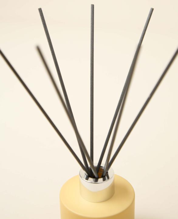 Image du produit Esmée Diffuser (150 ml)