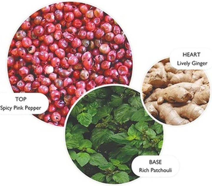 Produktbild Molton Brown Pink Pepperpod BL (Körperlotion, 300 ml)