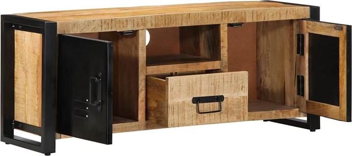 Image du produit vidaXL TV-Schrank (100 x 30 x 40 cm)