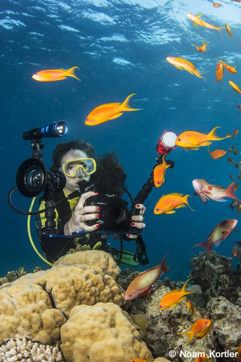 Produktbild Fantasea FRX100 III Tauchgehäuse für Sony RX100 III (Unterwassergehäuse, Sony RX100 III)