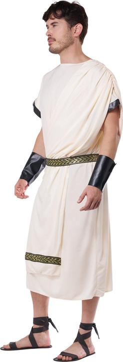 Actual product image Metamorph Antike Toga für Herren (M, L)
