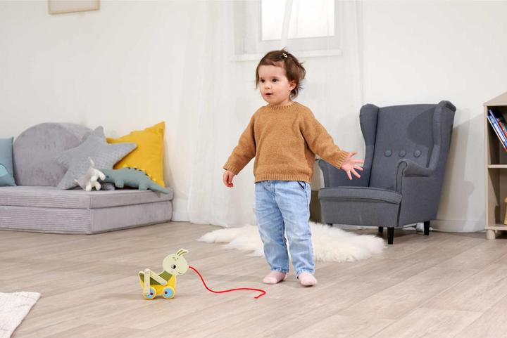 Actual product image Eichhorn EH pull-along grasshopper