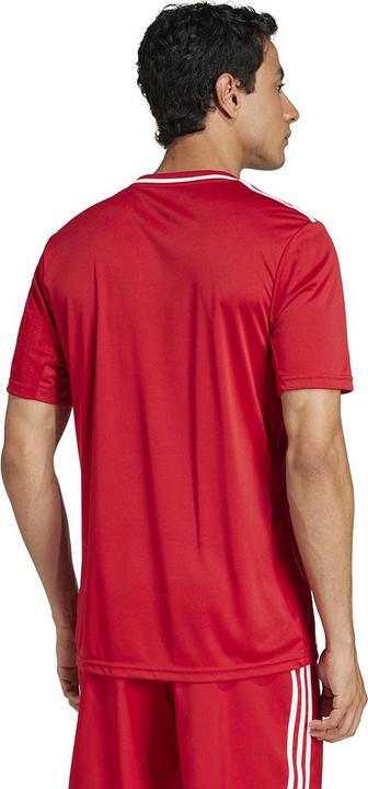 Image du produit adidas Maillot Campeon 25 (L)