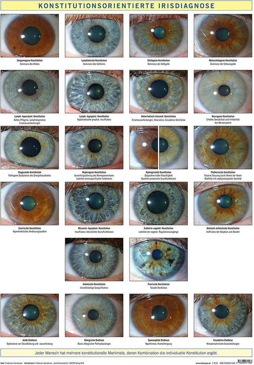 Actual product image Konstitutionsorientierte Irisdiagnose (German, Friedemann Garvelmann, 2018)