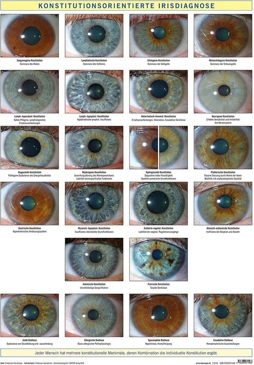 Produktbild Konstitutionsorientierte Irisdiagnose (Deutsch, Friedemann Garvelmann, 2018)