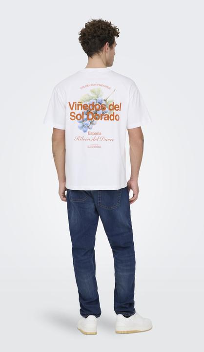 Immagine prodotto Only & Sons Trama (W31/L32)