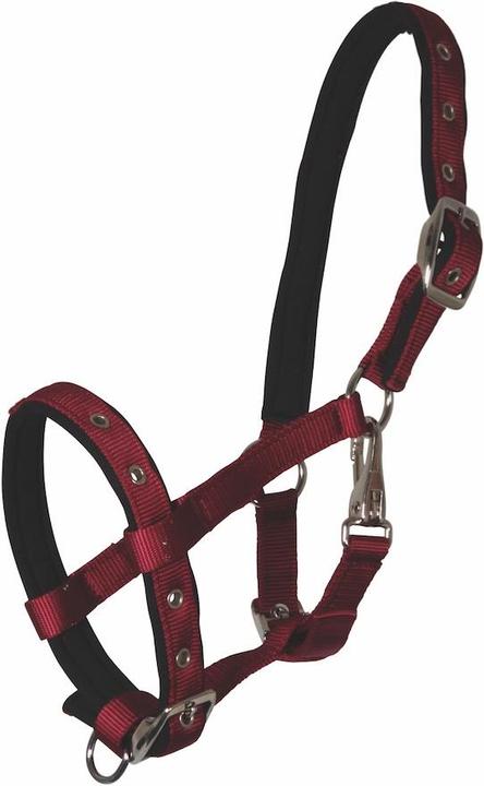 Produktbild Waldhausen Fohlenhalfter Comfort