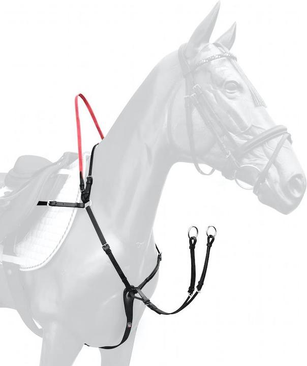 Image du produit Waldhausen Pré-harnais avec BOUCLE DE SÉCURITÉ SECUTRUST