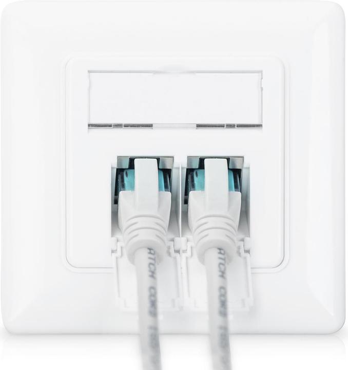 Actual product image Digitus Network socket