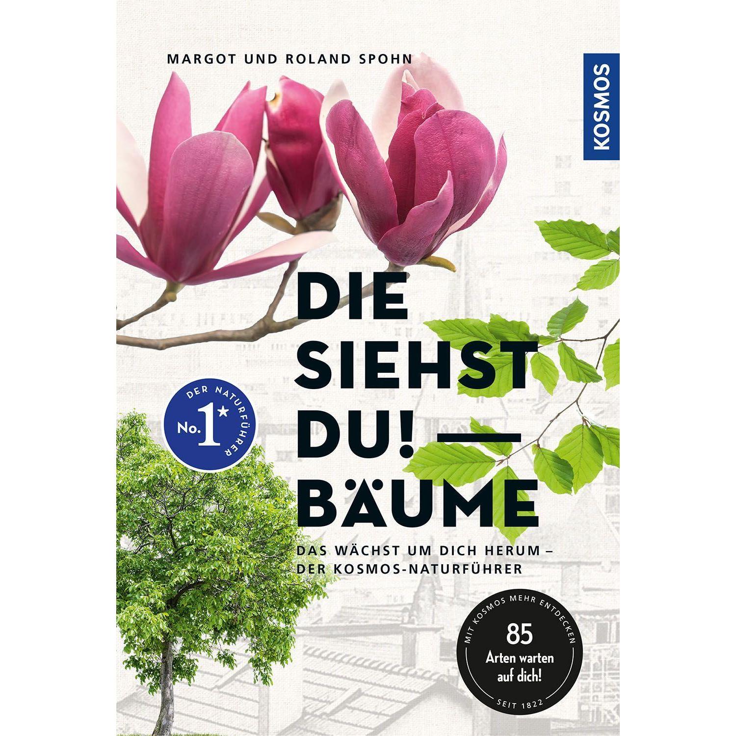 Die siehst du! Bäume, Ratgeber von Margot Spohn