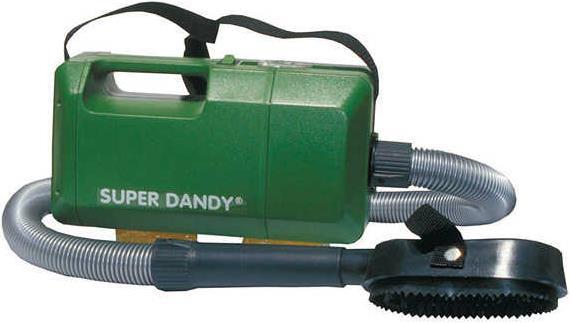 Strigliatura cavallo