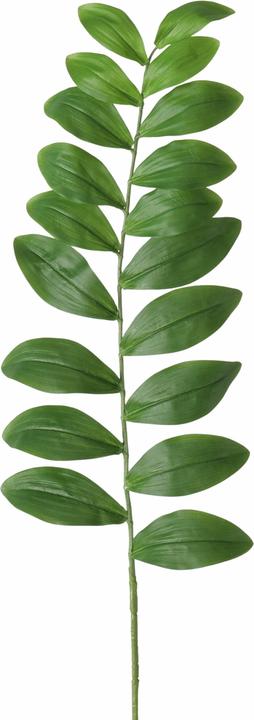 Image du produit Boltze Home Branche décorative