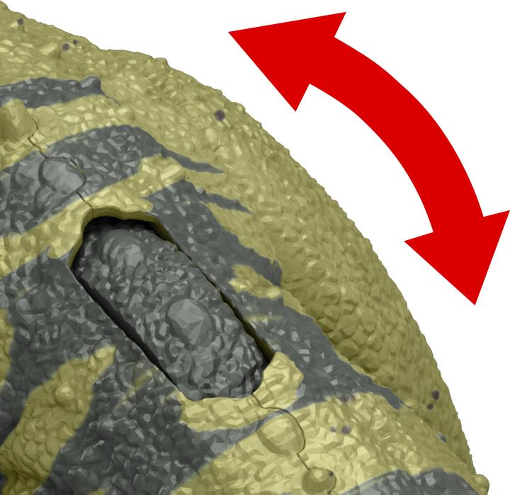 Immagine prodotto Jurassic World Ruggito selvaggio di - Ceratosauro (CT)