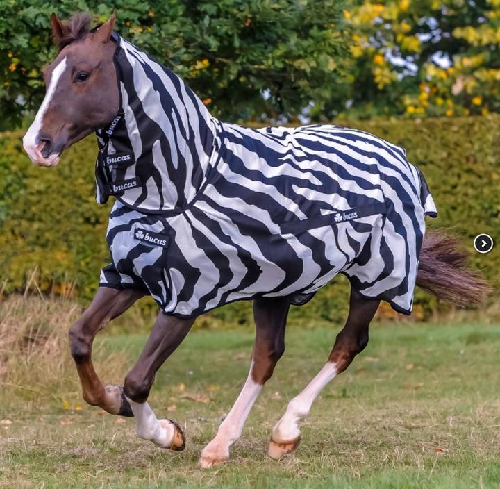 Produktbild Bucas Fliegendecke Buzz-Off Zebra (135 cm)