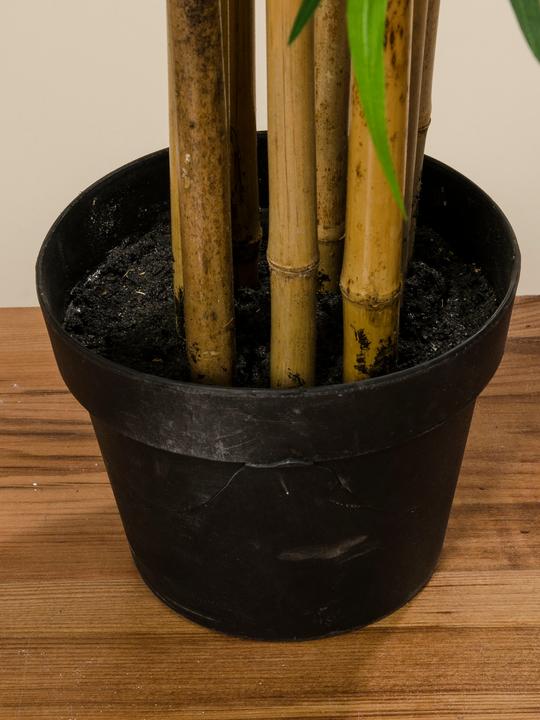 Produktbild Boltze Home Topfpflanze (180 cm)