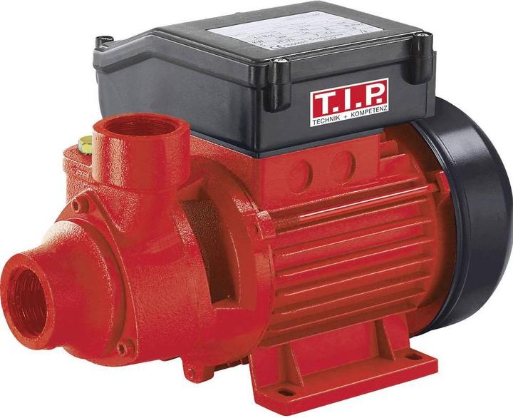 Actual product image T.I.P. Garden pump GPP 2100 M (Garden pump)