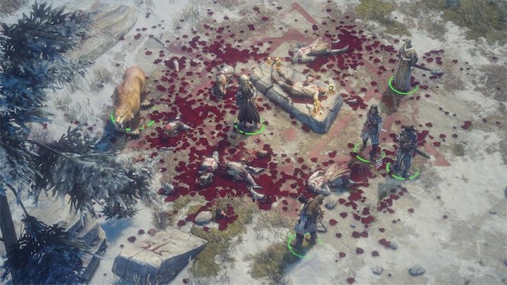 Immagine prodotto Pathfinder: L'Ira dei Giusti Edizione Limitata (XONE) (Xbox One S, DE)