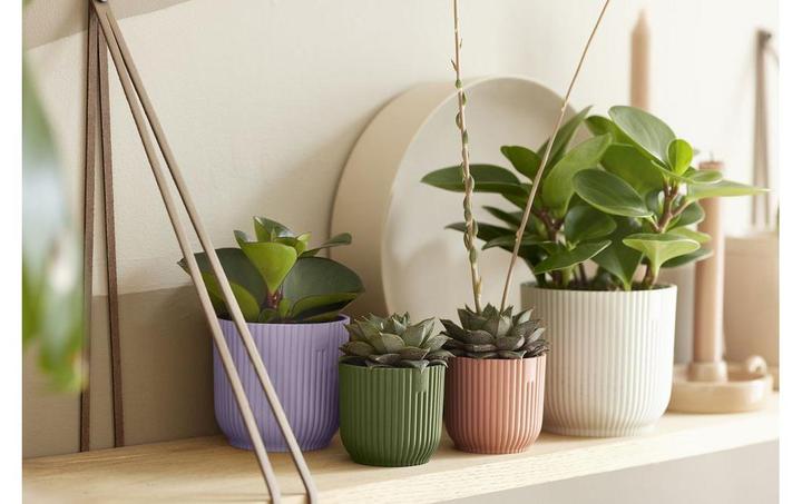 Image du produit Elho Vibes (9 x 9 cm)