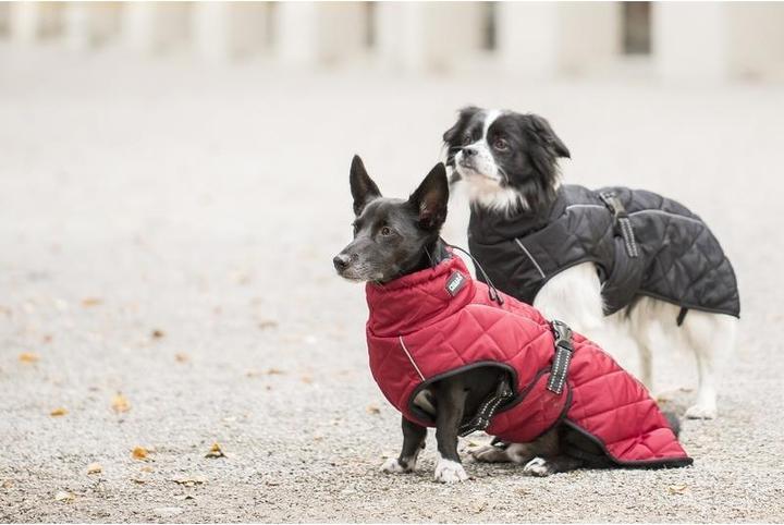 Produktbild Chiara Nelson (XL, Hundemantel)
