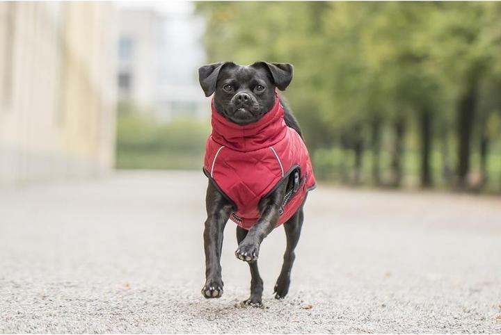 Produktbild Chiara Nelson (XL, Hundemantel)