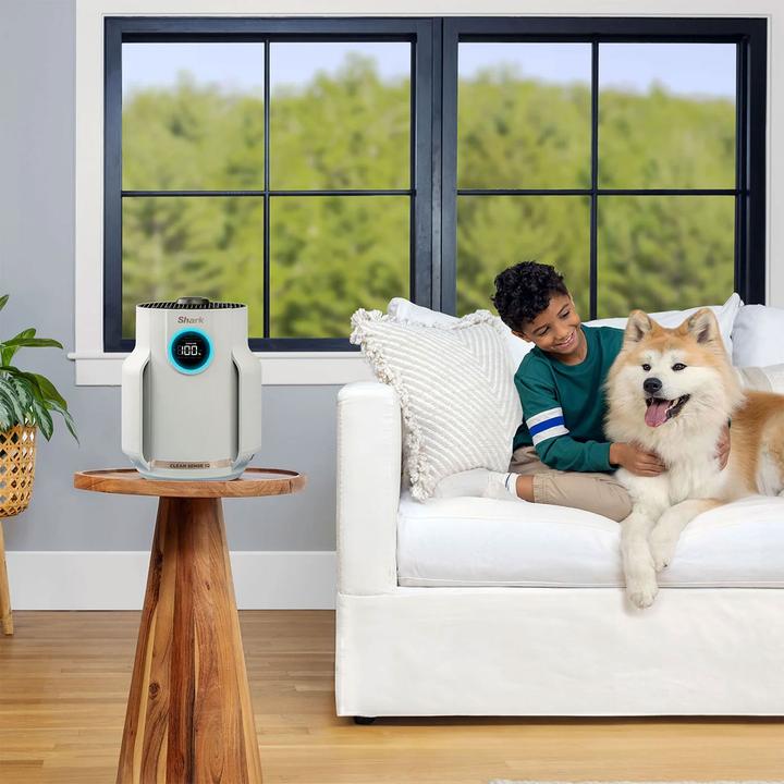 Produktbild Shark NeverChange Compact Pro HP072EU (23 m²)