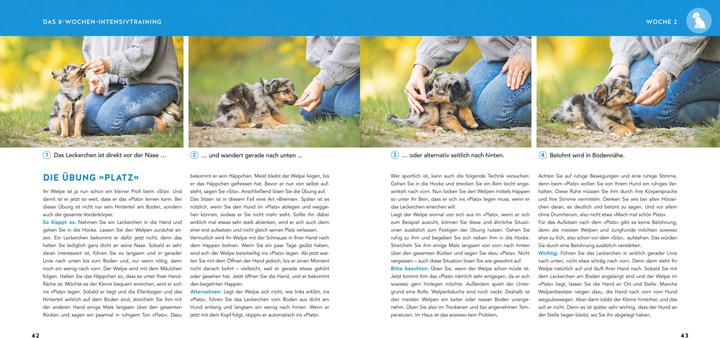 Produktbild Welpen-Erziehung (Deutsch, Katharina Schlegl-Kofler, 2025)