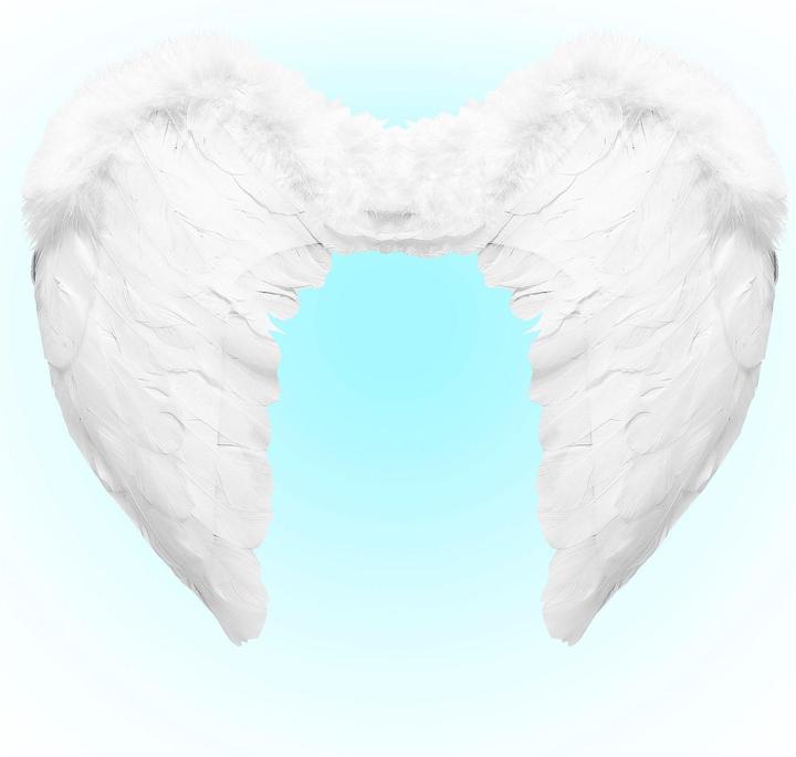 Immagine prodotto Widmann Ali d'angelo