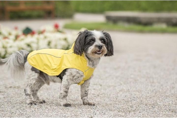 Actual product image Chiara Scotty (XXXXL, Dog coat)