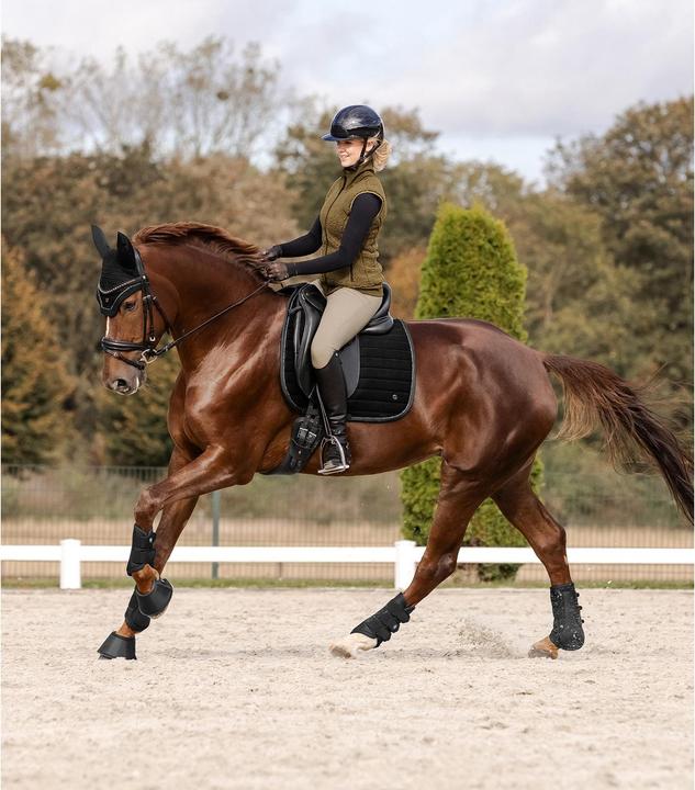 Immagine prodotto ELT Rotterdam (XXS)