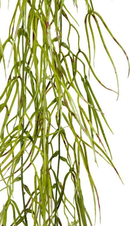 Immagine prodotto DPI Hänger (150 cm)