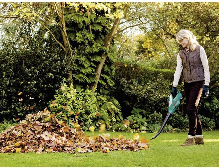 Immagine prodotto Bosch Home & Garden Alb 18 Li (Batteria ricaricabile, Aspirafoglie)