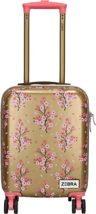 Produktbild Zebra Trends Avonturier