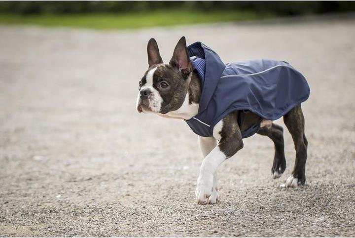 Image du produit Chiara Scotty (L, Manteau pour chien)