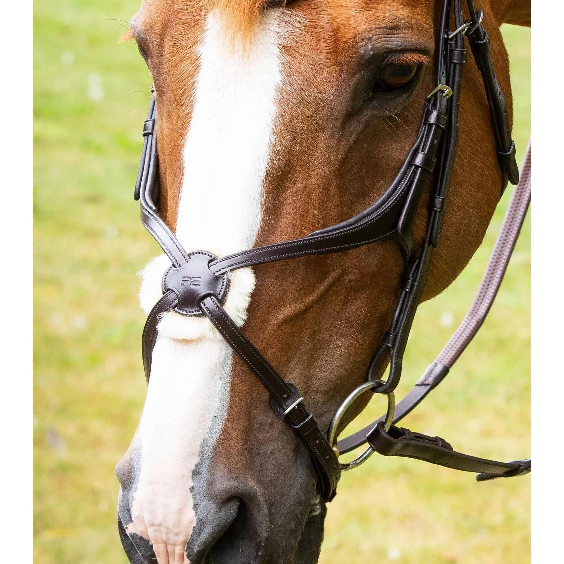 Premier Equine, Zaumzeug