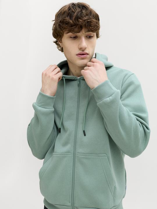 Produktbild Jack & Jones Jjebradley Sweat Zip Hood Noos (M)