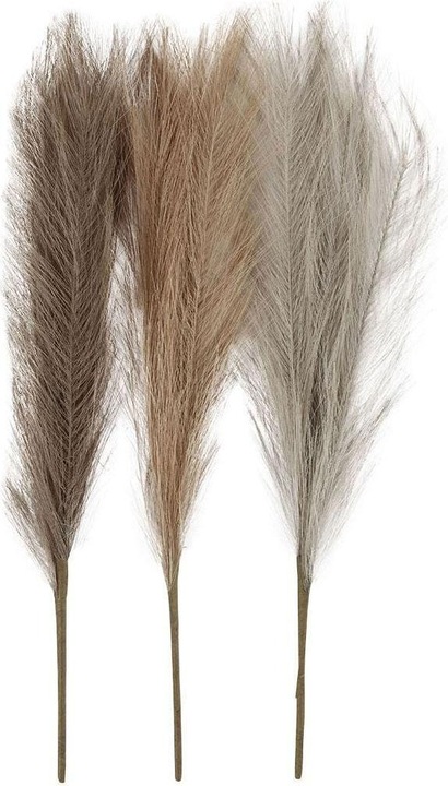 Actual product image Creativ Company Pampas Grass (Dried flowers)