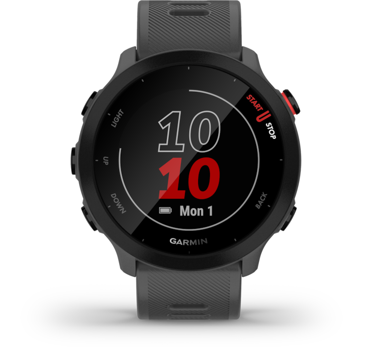 Produktbild Garmin Forerunner 55 (42 mm)